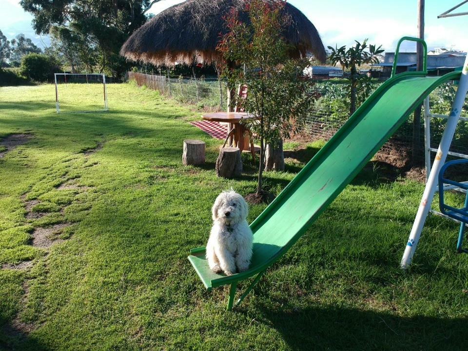 Machachi Casa Del Montanero Bed & Breakfast エクステリア 写真